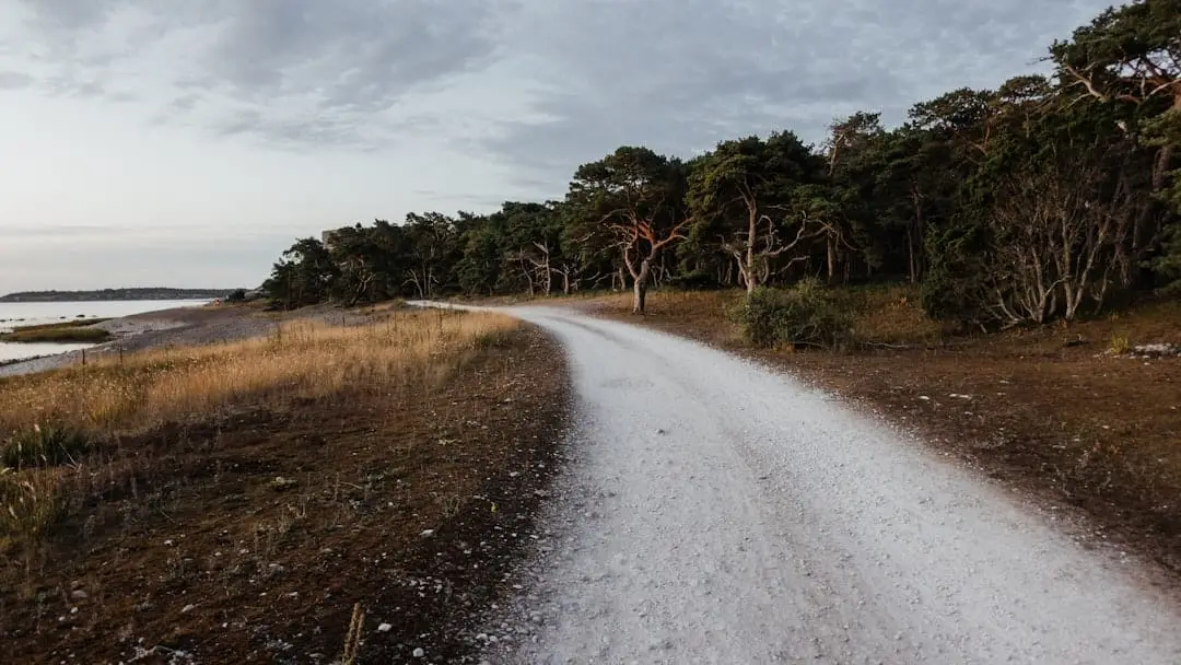 Gotlands bästa marknader för hem och trädgård illustration